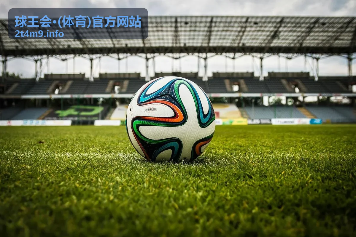 球王会运动百科知识指南内容展示